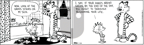 Calvin and Hobbes - Saturday July 28, 2012 Comic Strip
