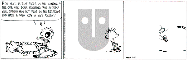 Calvin and Hobbes - Tuesday February 20, 2024 Comic Strip