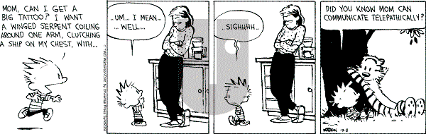 Calvin and Hobbes - Wednesday December 8, 1993 Comic Strip