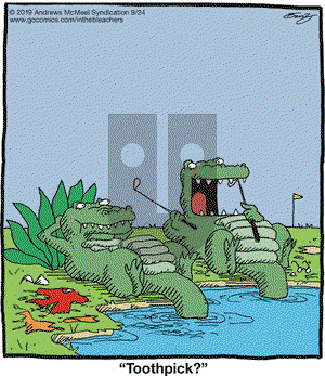 In the Bleachers on Tuesday September 24, 2019 Comic Strip