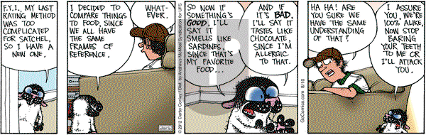 Get Fuzzy - Saturday August 10, 2024 Comic Strip