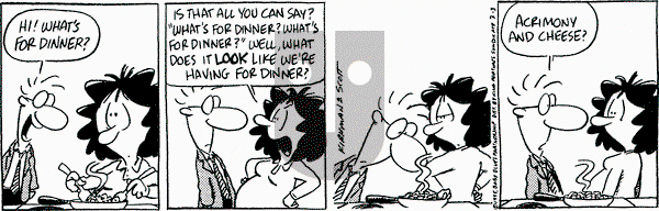 Baby Blues on Friday March 3, 1995 Comic Strip