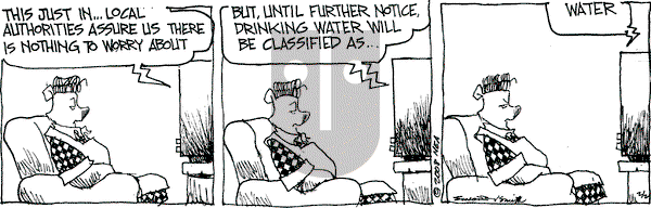 The Grizzwells on Saturday February 2, 2008 Comic Strip