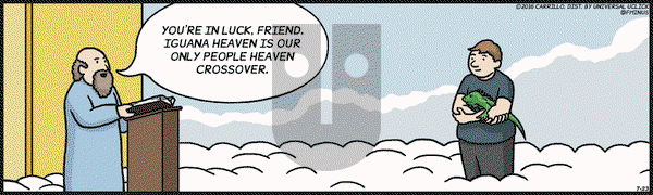 F Minus on Saturday July 23, 2016 Comic Strip