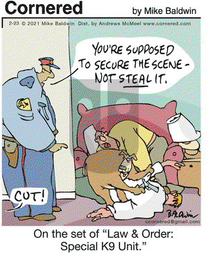 Cornered on Tuesday February 23, 2021 Comic Strip
