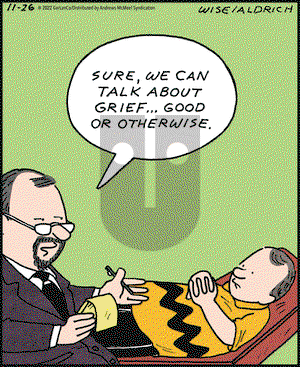 Real Life Adventures - Saturday November 26, 2022 Comic Strip