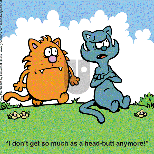 Learn to Speak Cat - Thursday August 29, 2024 Comic Strip