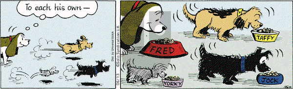 Fred Basset on Saturday June 13, 2015 Comic Strip