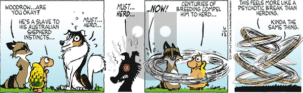 Over the Hedge on Wednesday June 12, 2019 Comic Strip