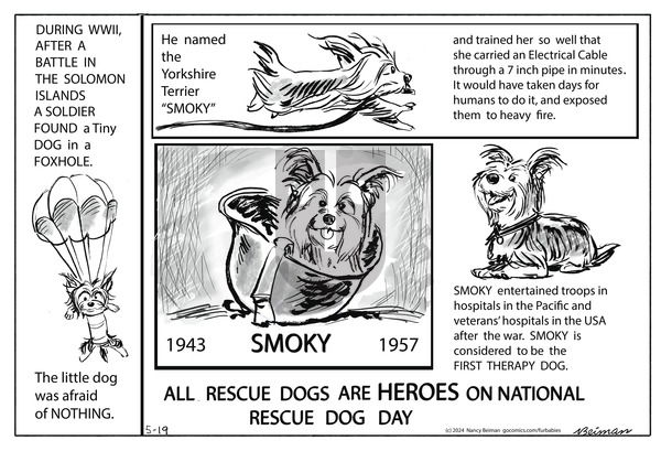 FurBabies - Sunday May 19, 2024 Comic Strip
