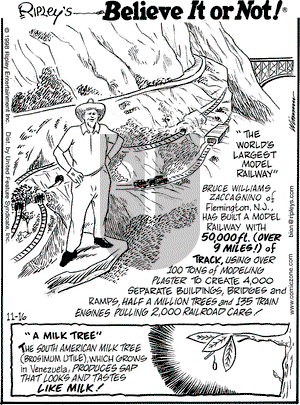 Ripley's Believe It or Not on Monday November 16, 1998 Comic Strip