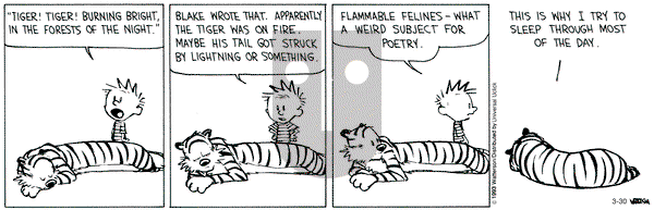 Calvin and Hobbes - Saturday March 30, 2013 Comic Strip