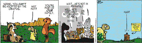 Over the Hedge on Wednesday January 7, 2009 Comic Strip
