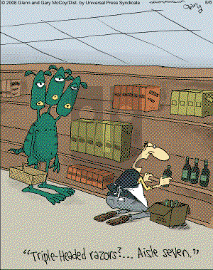 The Flying McCoys on Wednesday August 6, 2008 Comic Strip