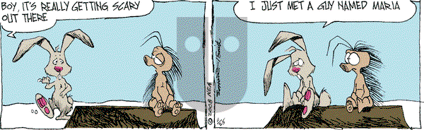 The Grizzwells on Tuesday November 25, 2008 Comic Strip