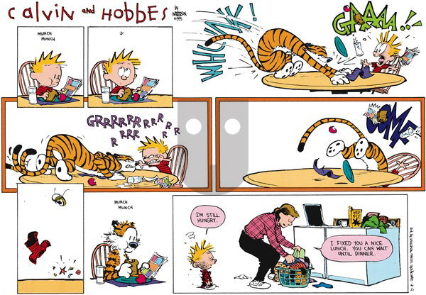 Calvin and Hobbes on Sunday March 12, 1995 Comic Strip