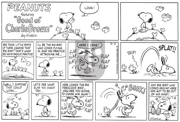 Peanuts on Sunday August 12, 1984 Comic Strip