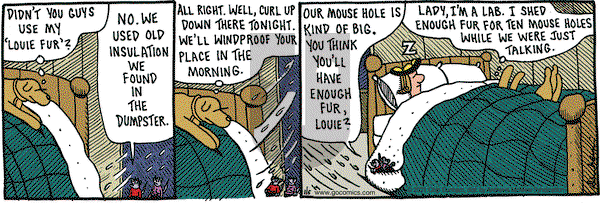 Overboard on Wednesday January 6, 2021 Comic Strip