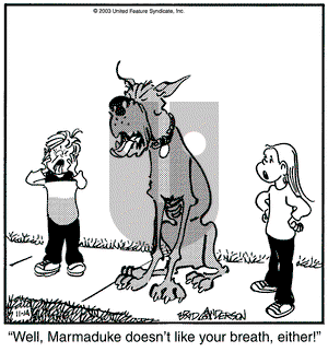 Marmaduke on Friday November 14, 2003 Comic Strip