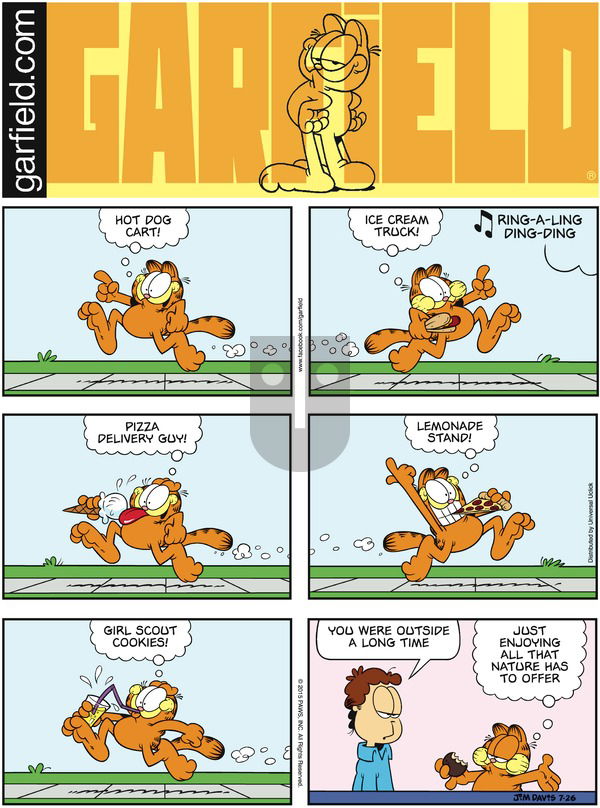 Garfield on Sunday July 26, 2015 Comic Strip