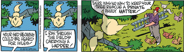 Rose is Rose on Thursday April 12, 2018 Comic Strip