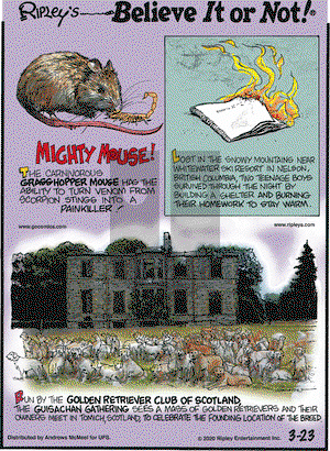 Ripley's Believe It or Not on Monday March 23, 2020 Comic Strip