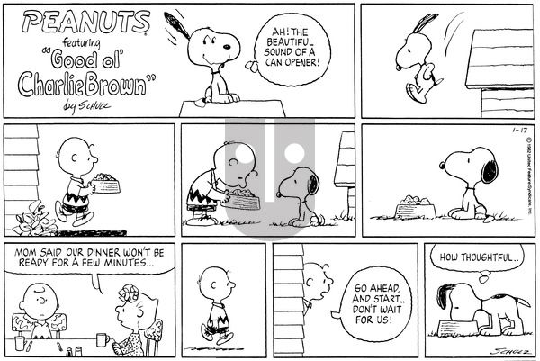 Peanuts on Sunday January 17, 1982 Comic Strip