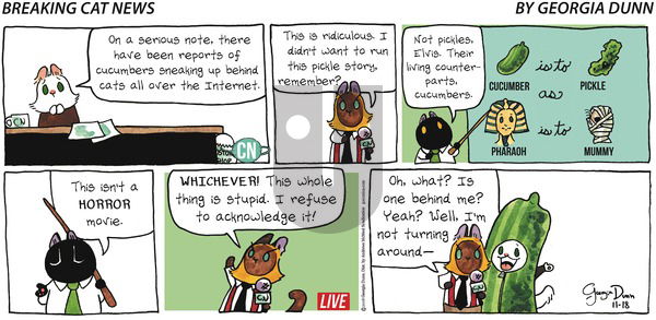 Breaking Cat News on Sunday November 18, 2018 Comic Strip