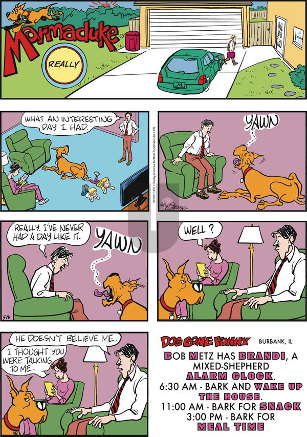Marmaduke on Sunday May 16, 2021 Comic Strip