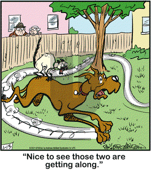 Marmaduke on Wednesday January 13, 2021 Comic Strip