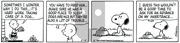 Peanuts on Friday May 11, 1984 Comic Strip