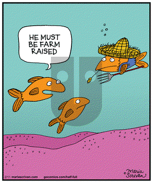 Half Full on Wednesday February 11, 2015 Comic Strip