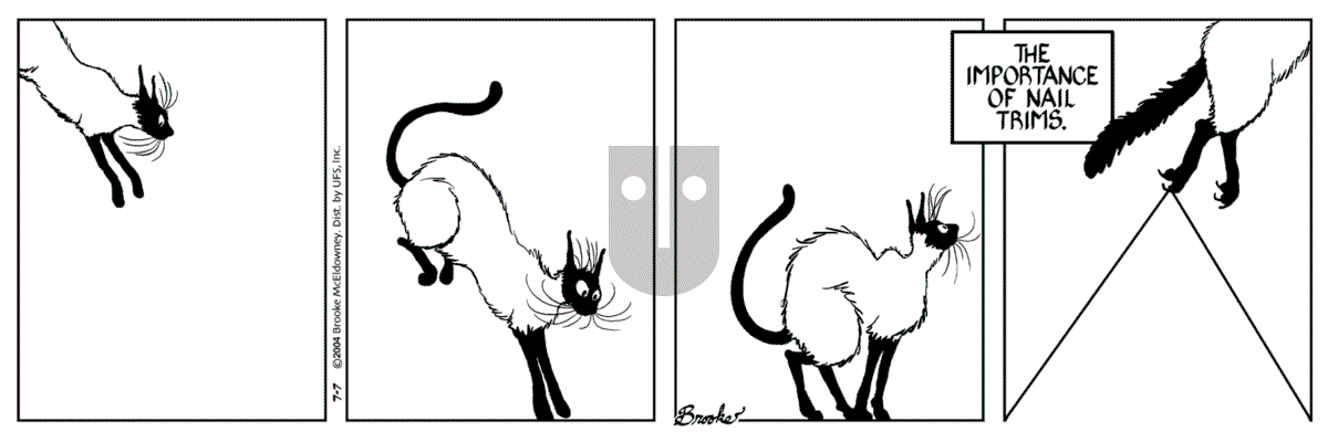 9 Chickweed Lane - Wednesday July 12, 2006 Comic Strip