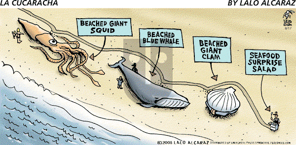 La Cucaracha on Sunday August 17, 2008 Comic Strip
