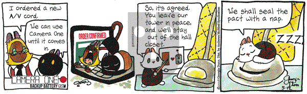 Breaking Cat News on Saturday May 12, 2018 Comic Strip