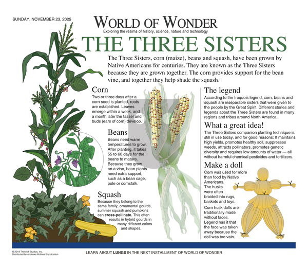 World of Wonder on Sunday November 23, 2025 Comic Strip