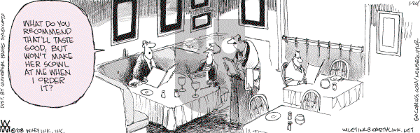 Non Sequitur - Thursday January 24, 2008 Comic Strip