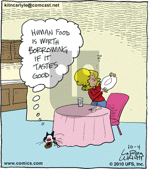 Kit 'N' Carlyle on Monday October 4, 2010 Comic Strip