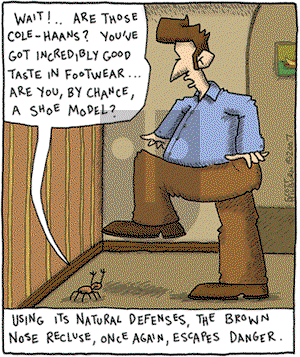 The Argyle Sweater on Sunday March 23, 2008 Comic Strip