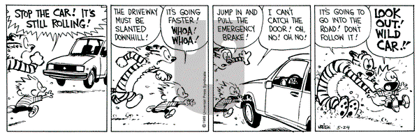 Calvin and Hobbes on Wednesday May 24, 1989 Comic Strip