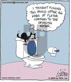 Kit 'N' Carlyle on Friday February 13, 2009 Comic Strip