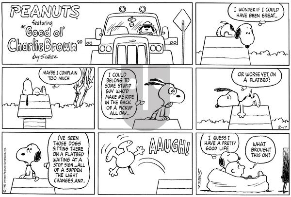 Peanuts on Sunday February 17, 1980 Comic Strip