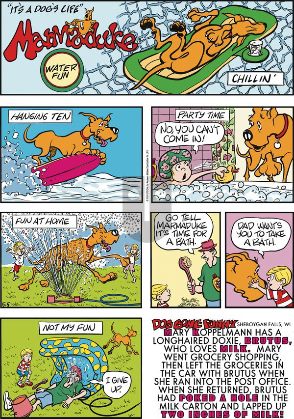 Marmaduke on Sunday May 5, 2019 Comic Strip