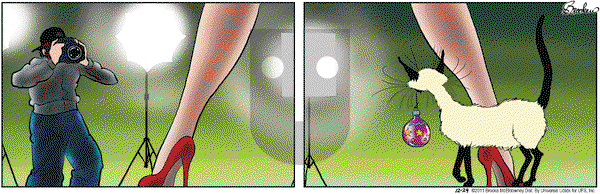 9 Chickweed Lane on Saturday December 24, 2011 Comic Strip
