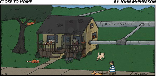 Close to Home on Sunday November 12, 2023 Comic Strip