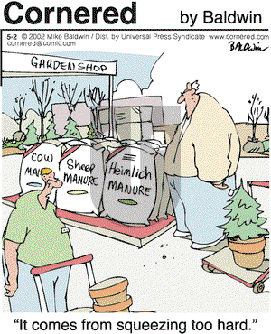 Cornered on Saturday June 29, 2002 Comic Strip