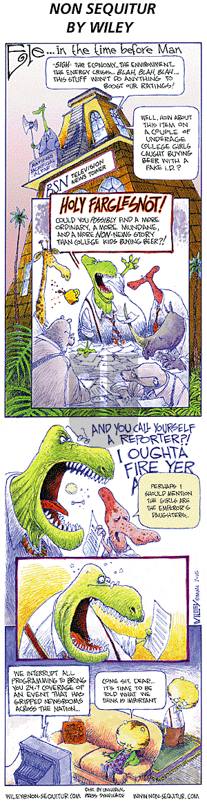 Non Sequitur on Sunday July 15, 2001 Comic Strip