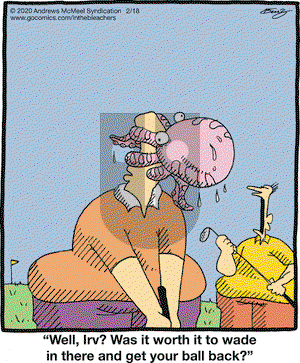 In the Bleachers on Tuesday February 18, 2020 Comic Strip