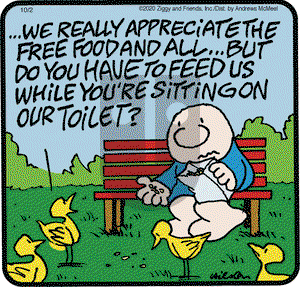 Ziggy on Friday October 2, 2020 Comic Strip