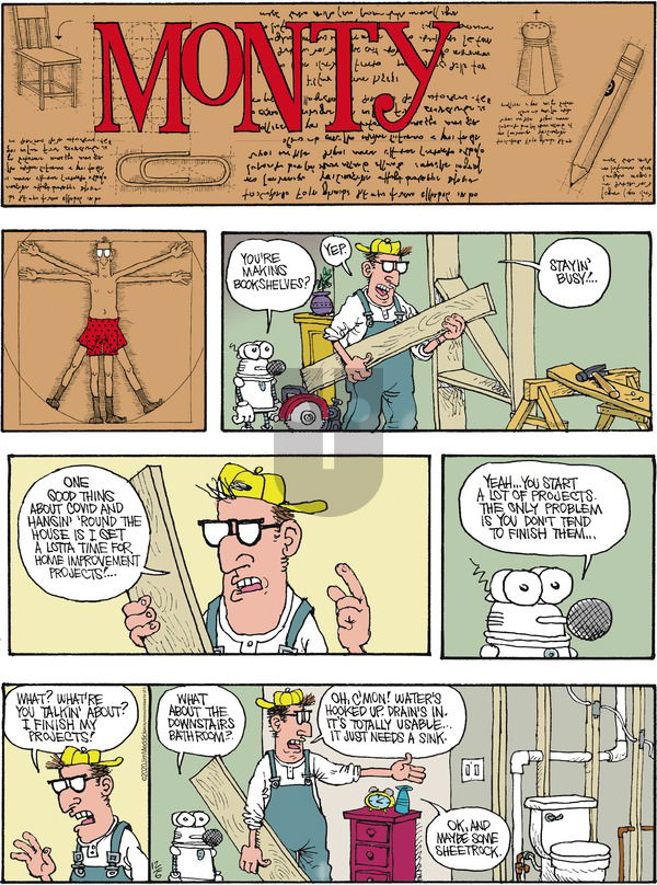 Monty on Sunday December 6, 2020 Comic Strip